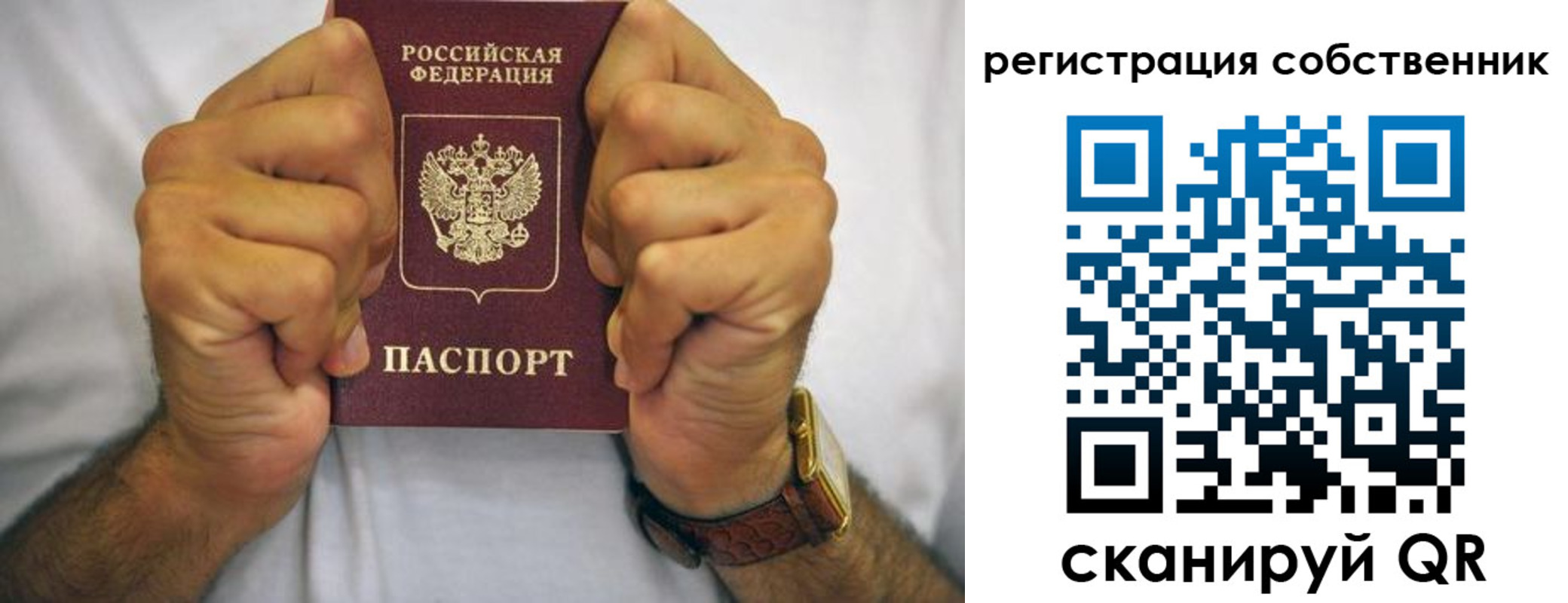 временная регистрация в Курске